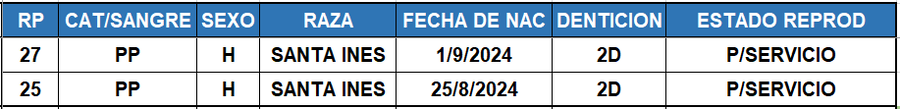 Lote LOTE 22