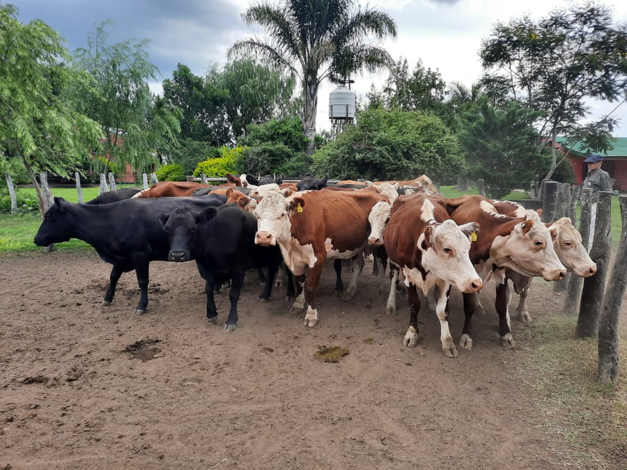 Lote SAENZ VALIENTE, BULLRICH Y Cia. S.A.