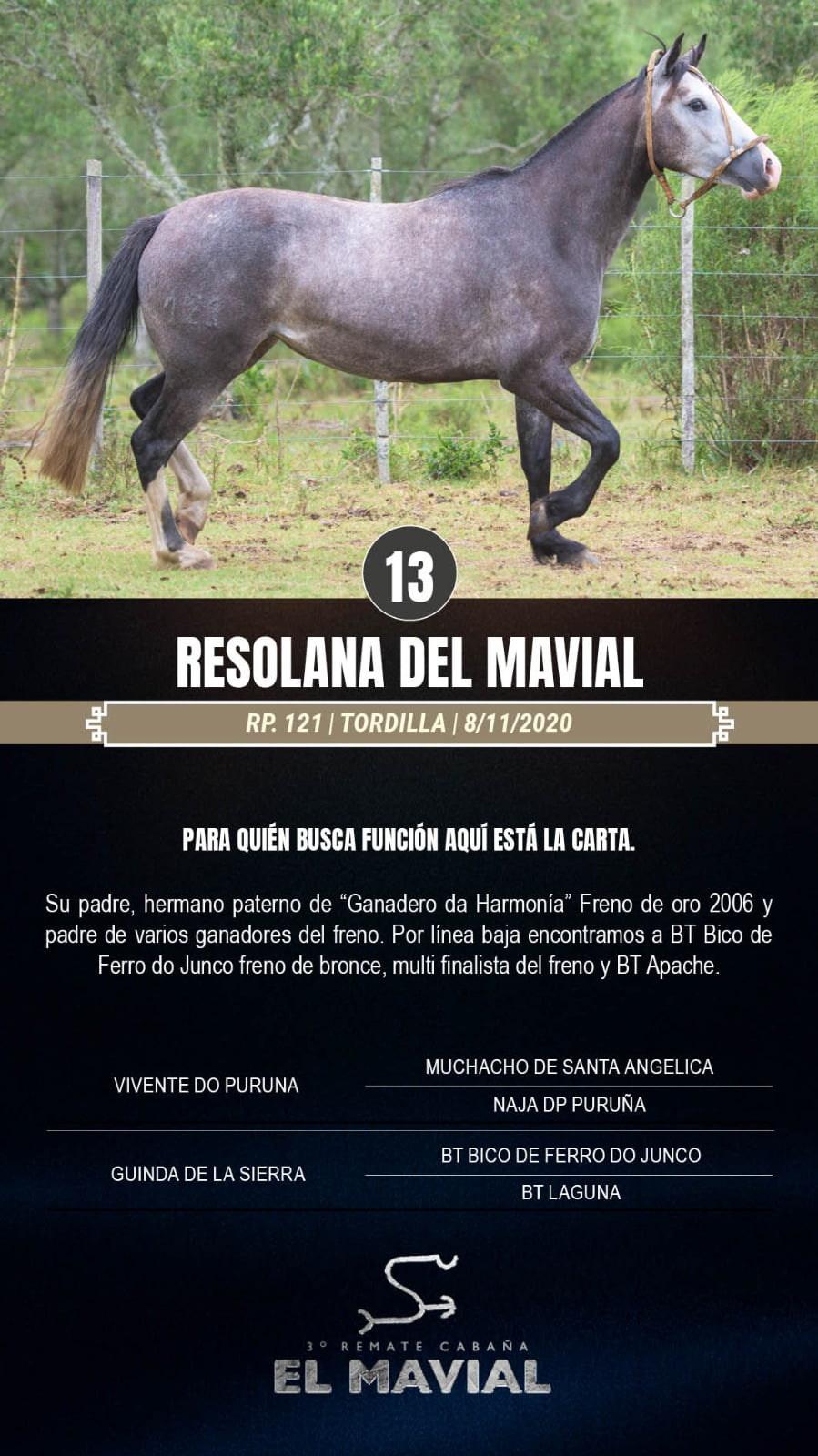 Lote Resolana del Mavial