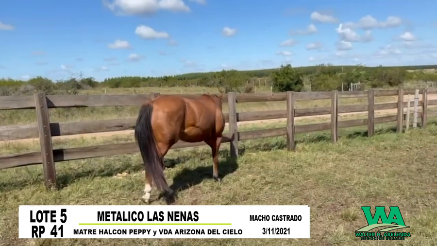 Lote METALICO LAS NENAS