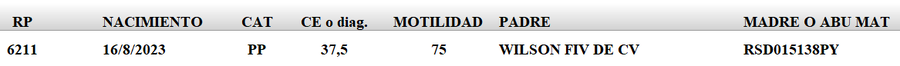 Lote LOTE 51