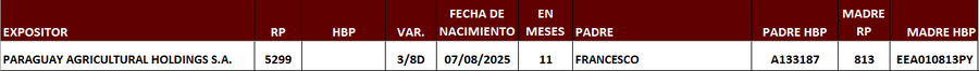Lote LOTE 19