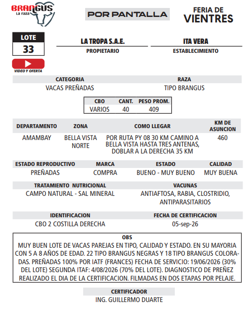 Lote LOTE 33 - POR PANTALLA