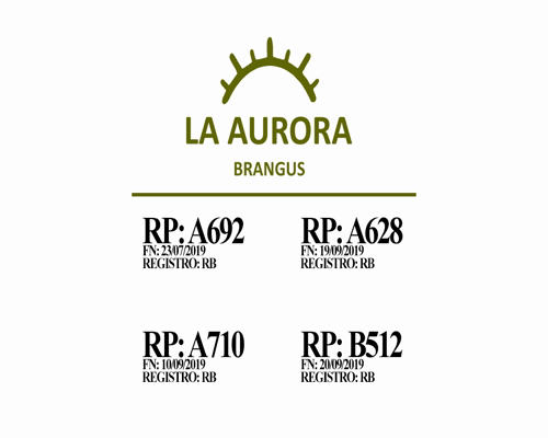 Lote Vaquillona Preñada Cabaña LA AURORA (B512)