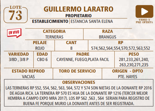 Lote LOTE 73 -EN VIVO