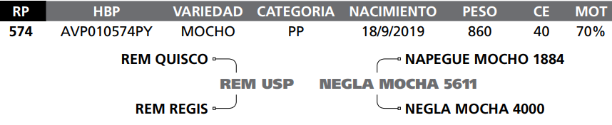 Lote LOTE 33  RP 574