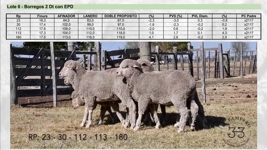 Lote Lote 6 - EL PAMPERO