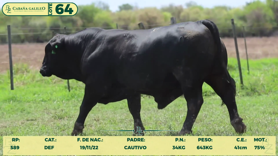 Lote LOTE 64