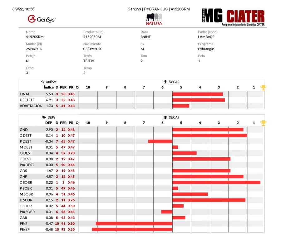 Lote LOTE 31