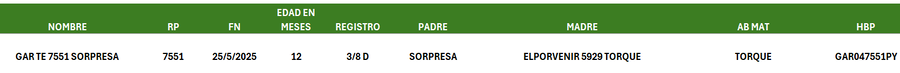 Lote LOTE 10