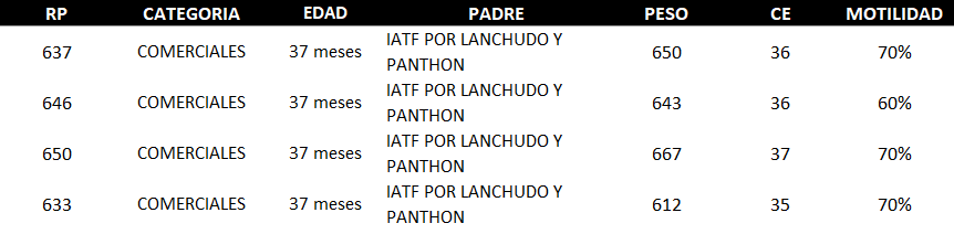 Lote AGROPECUARIA AMAMBAY LOTE 22