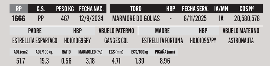 Lote LOTE 21
