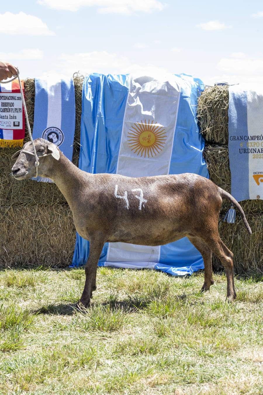 Lote SANTA INES P.P.C.