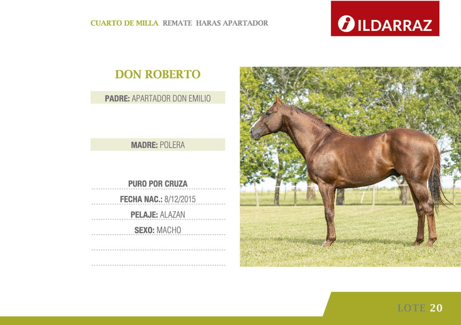 Lote DON ROBERTO