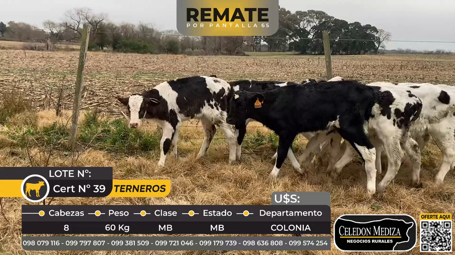 Lote 8 Terneros en La Horqueta, Colonia