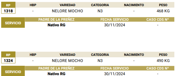 Lote LOTE 59