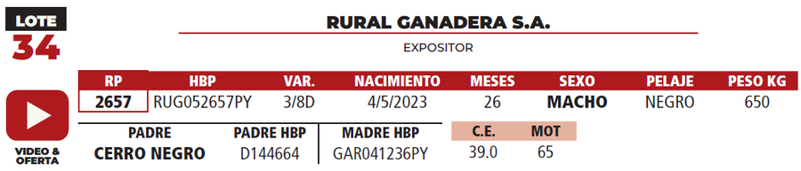 Lote LOTE 34