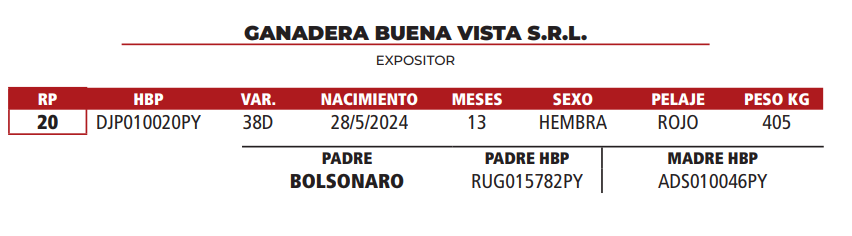 Lote LOTE 32