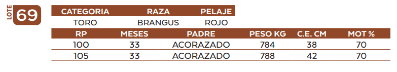 Lote LOTE 69