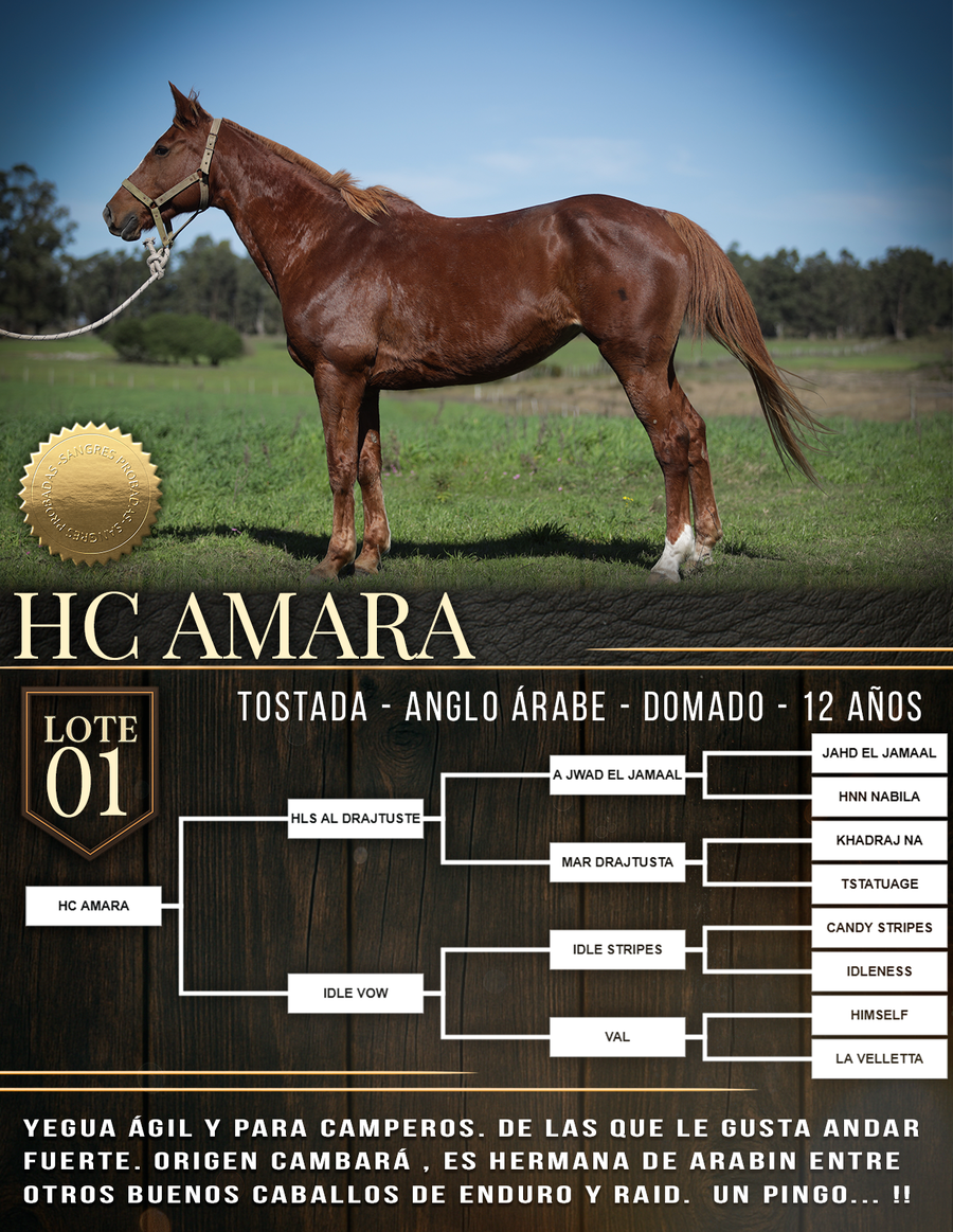 Lote HC AMARA