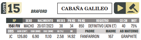 Lote LOTE 15
