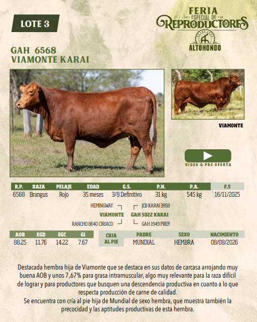 Lote LOTE 3
