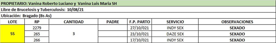 Lote Lote 55 Vanina Roberto Luciano