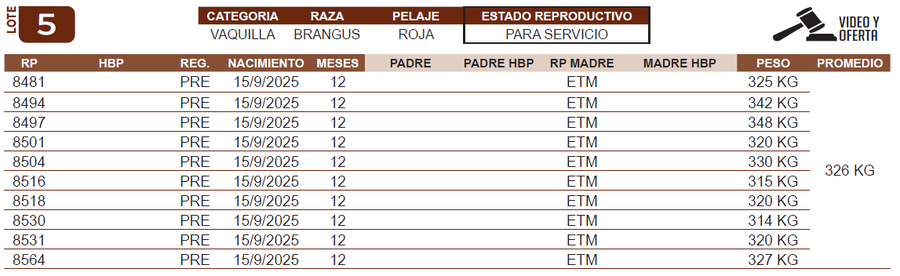 Lote LOTE 5