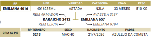 Lote LOTE 49