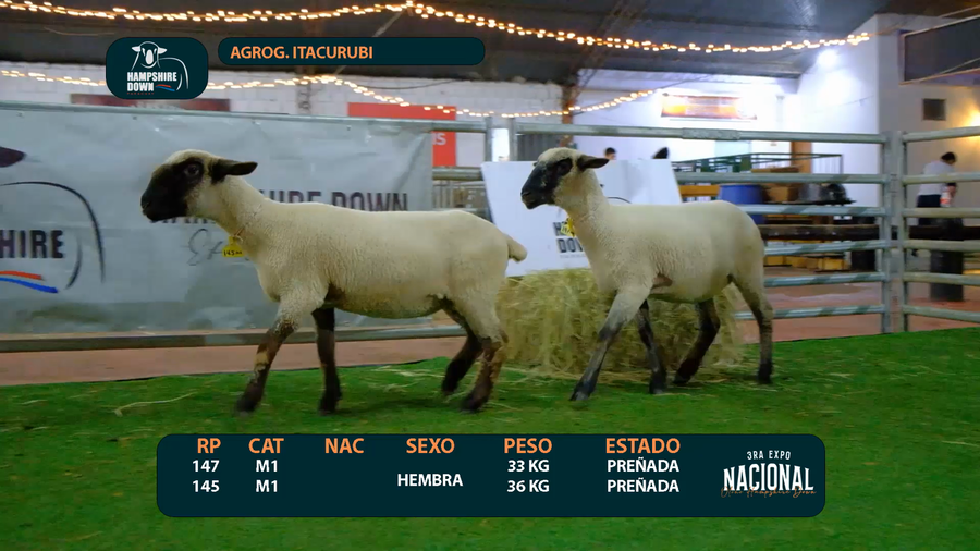 Lote LOTE 13 - AGROG. ITACURUBI - RP 147 / 145