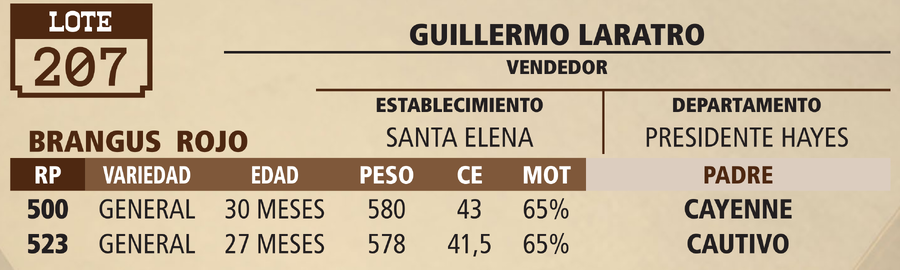 Lote LOTE 207 - VIVO