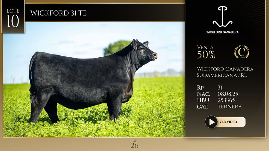 Lote WICKFORD 31 TE