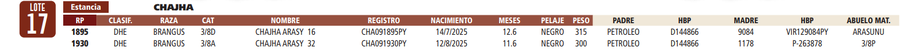 Lote LOTE 17