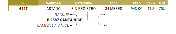 Lote LOTE 4