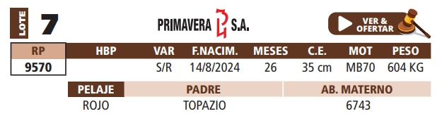 Lote LOTE 7