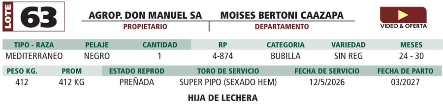 Lote LOTE 63