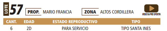 Lote LOTE 57 -POR PANTALLA
