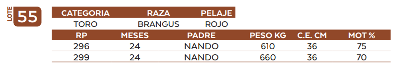 Lote LOTE 55