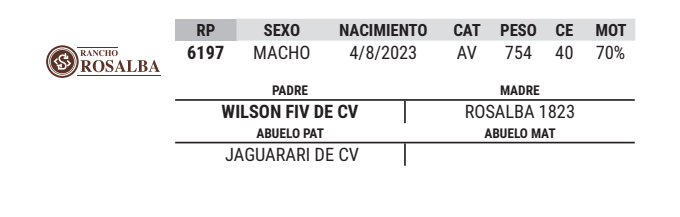 Lote LOTE 34