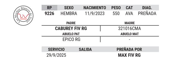 Lote LOTE 14