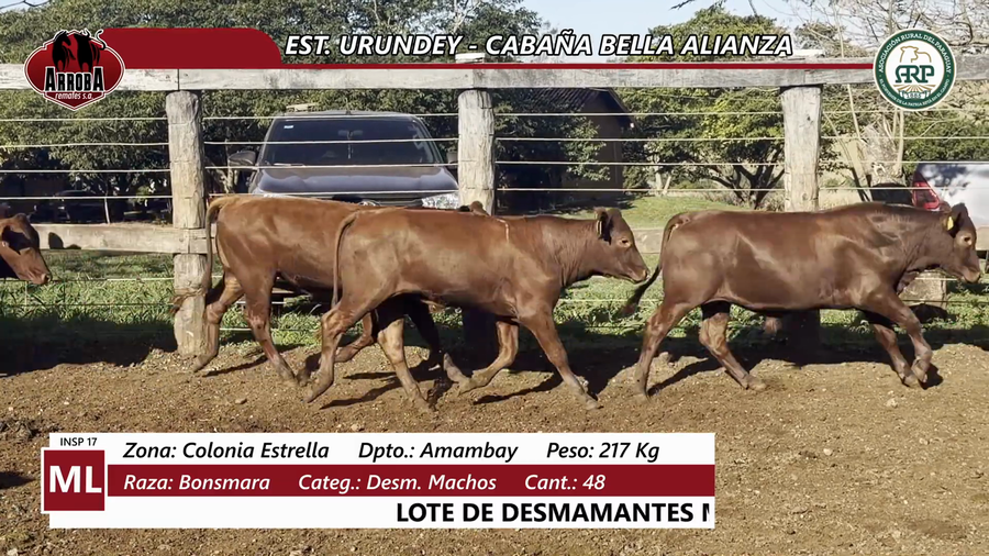 Lote EST. URUNDEY - CABAÑA BELLA ALIANZA