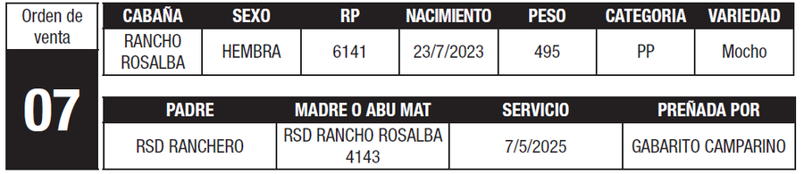 Lote LOTE 7