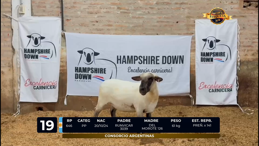 Lote LOTE 19