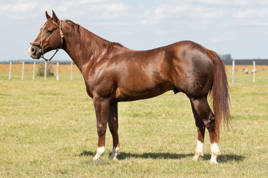 Lote AGUAY SOBREPUESTO