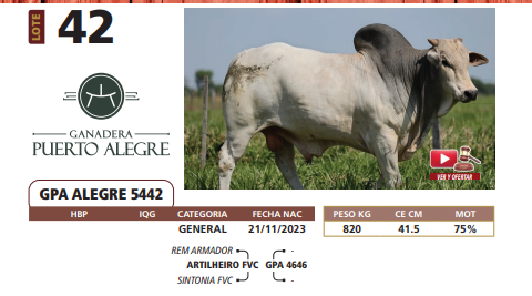 Lote LOTE 42