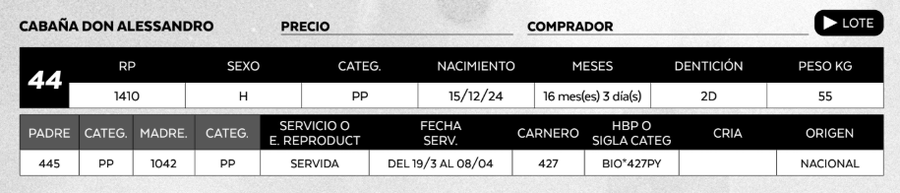 Lote LOTE 44