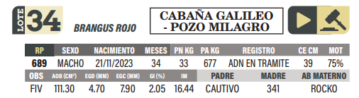 Lote LOTE 34
