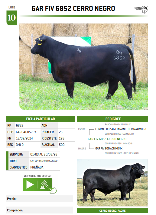 Lote LOTE 10