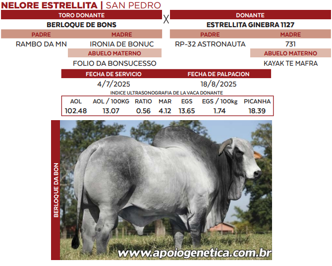 Lote LOTE 42