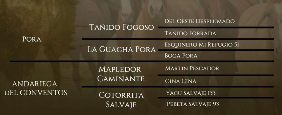 Lote Solidario del Conventos